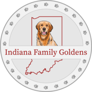 Indiana family goldens logo.